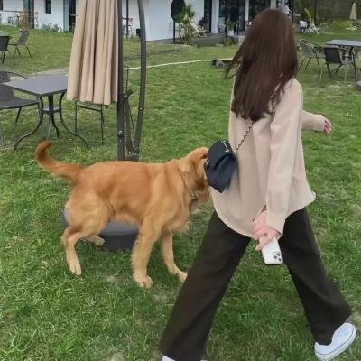 意大利之秋